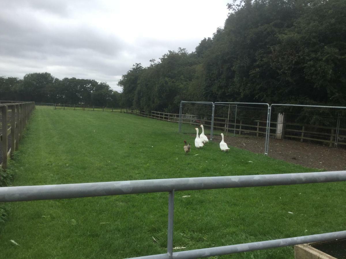 Cattal Crossgate Farm 빌라 외부 사진